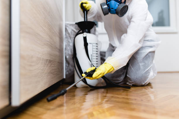 Best Pest Removal Services  in Alma, AR