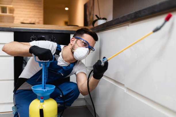 Best Mosquito Control Services  in Alma, AR