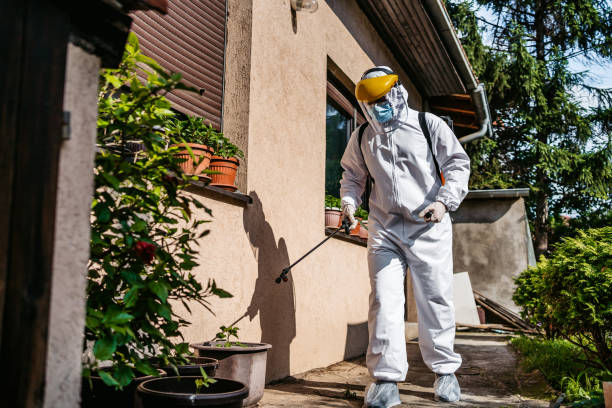 Best Bed Bug Extermination  in Alma, AR