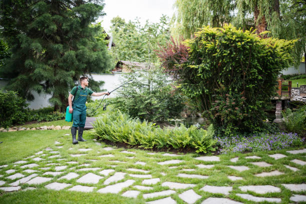 Best Local Pest Control Services  in Alma, AR
