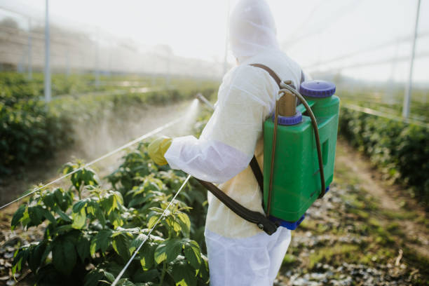 Best Residential Pest Control  in Alma, AR